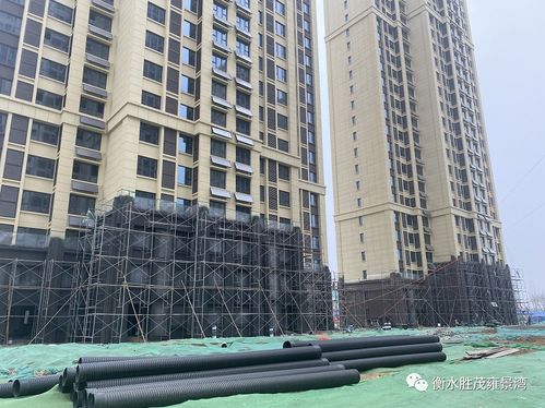 雍景湾3月工程进度播报丨春日凝聚美好,共鉴新家容颜