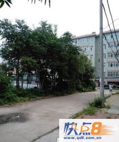 qd8.com.cn