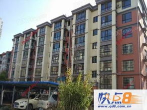 qd8.com.cn
