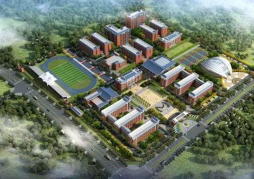 为了孩子上学 这些购房建议值得参考