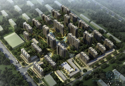 丽景金城图片 样板间 装修效果图